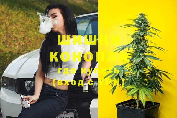 ПСИЛОЦИБИНОВЫЕ ГРИБЫ Кущёвская