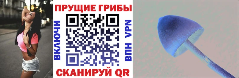 Псилоцибиновые грибы прущие грибы  Купить закладки  Навашино 
